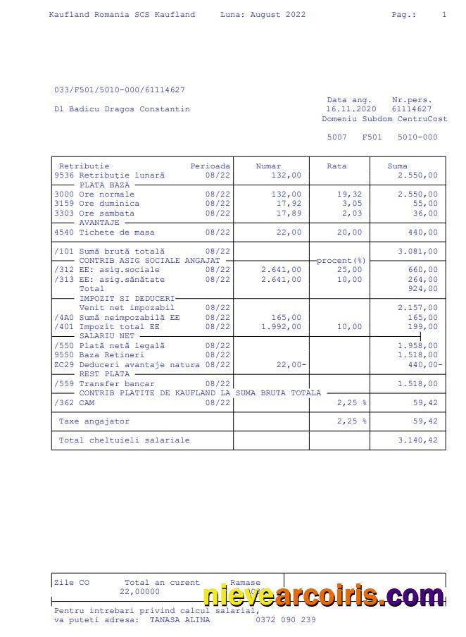 Kaufland Romania SCS Paystub